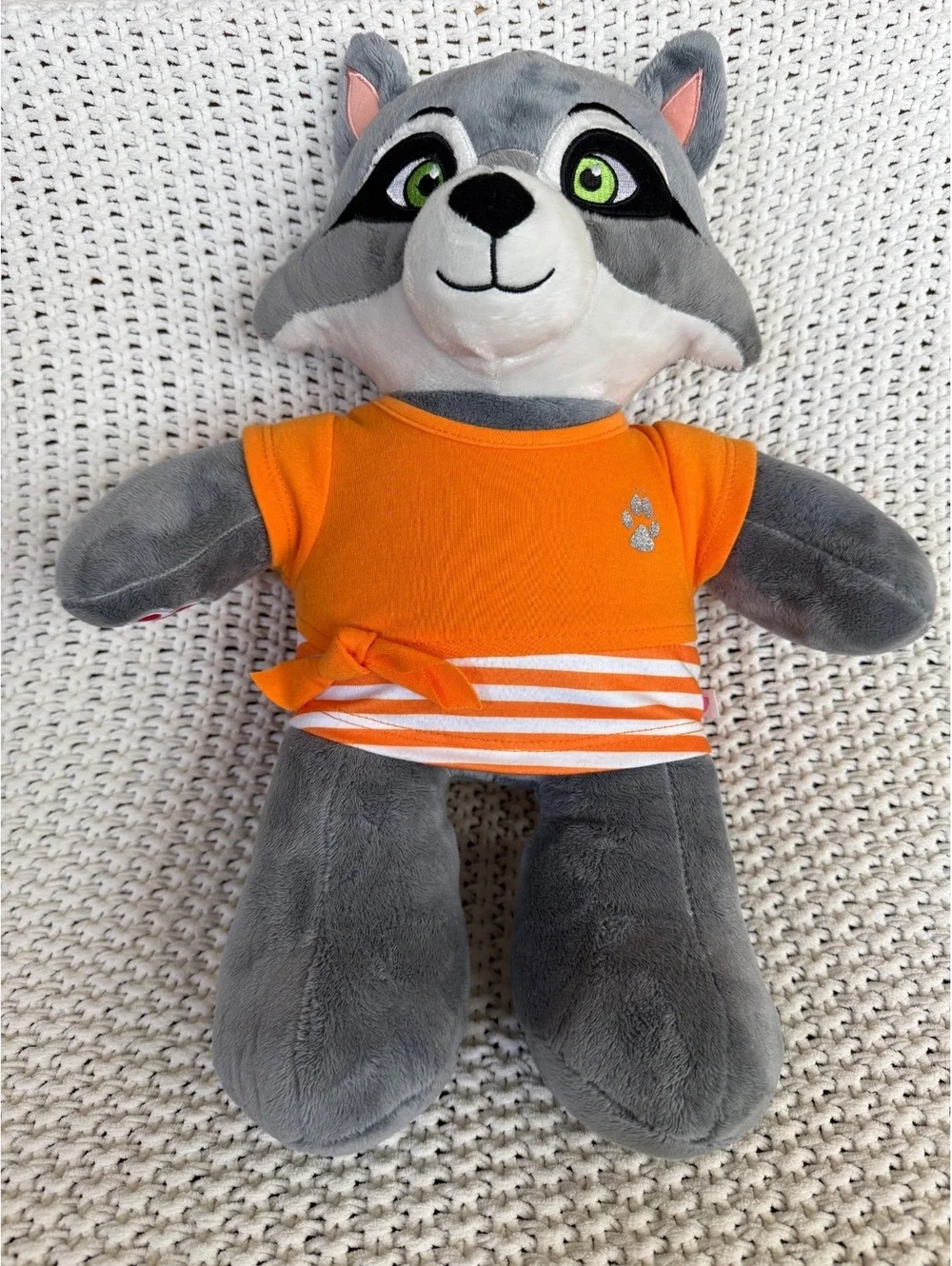 Great Wolf Lodge Build-A-Bear raccoon
